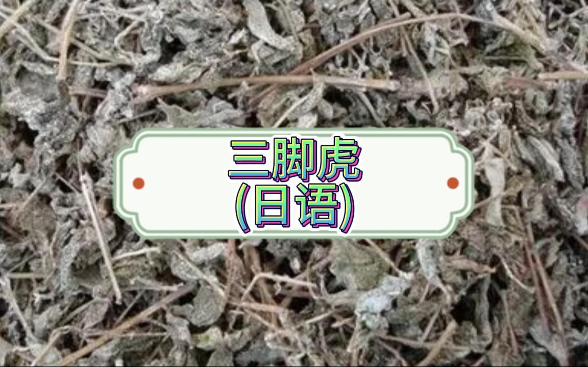 三脚虎(中日字幕版本)哔哩哔哩bilibili