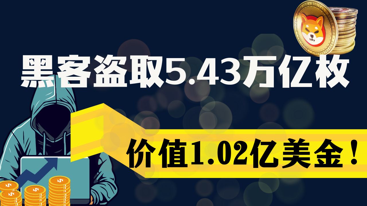 shib币最新消息今日(shib币价格今日行情走势)