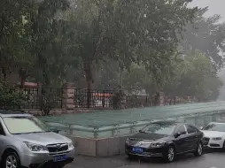 下载视频: 干旱的济南中午迎来了一场痛快的雨