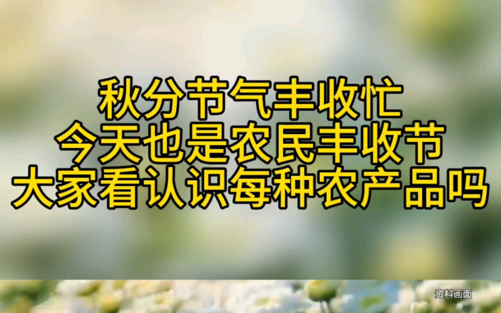 最美笑容合集莫过于农民丰收的喜悦#2023农民丰收节哔哩哔哩bilibili