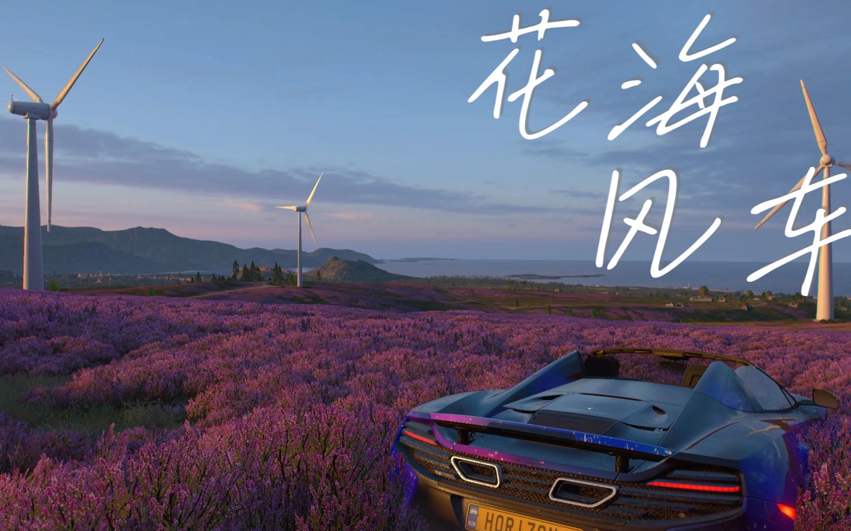 地平线4花海 风车