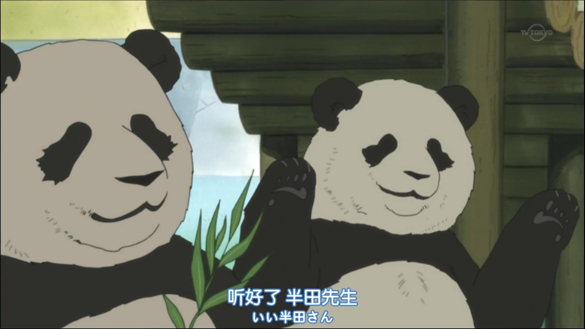 【白熊咖啡厅】胖达君聊天记——和胖达聊天有一种淡淡疼的忧伤!