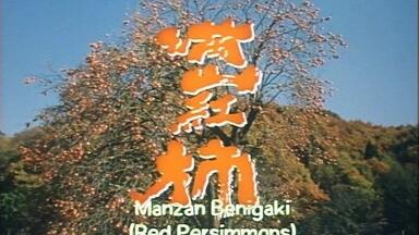 日语无字][小川绅介纪录片]牧野物語・峠(1977)_哔哩哔哩_bilibili