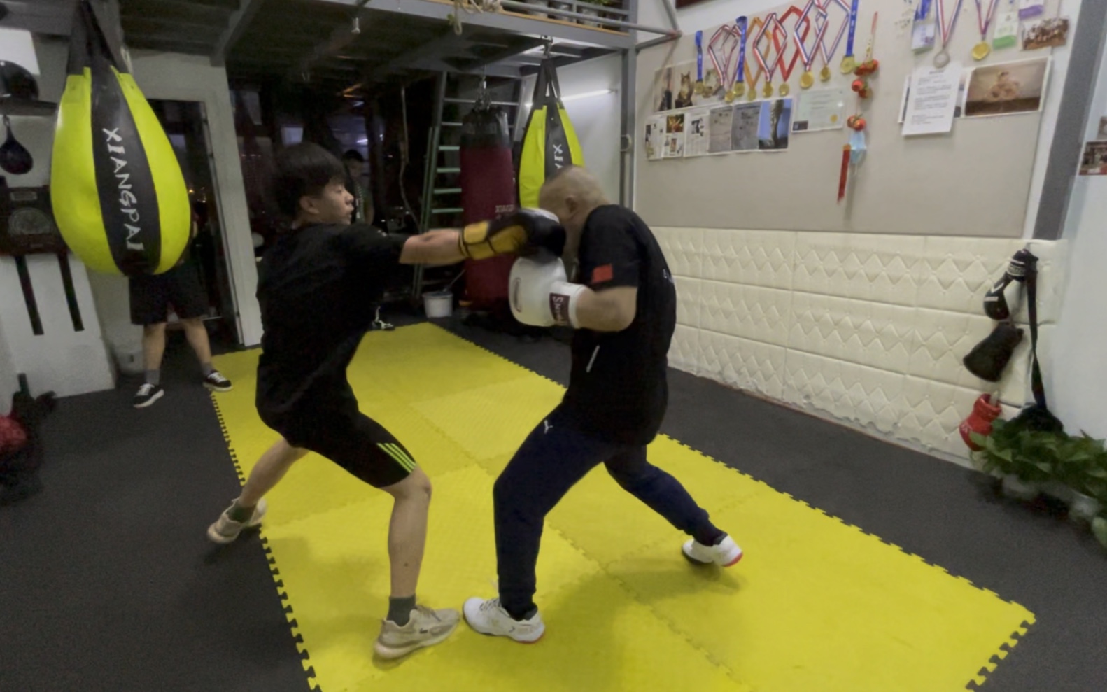 陈教练陪练小拳击手们