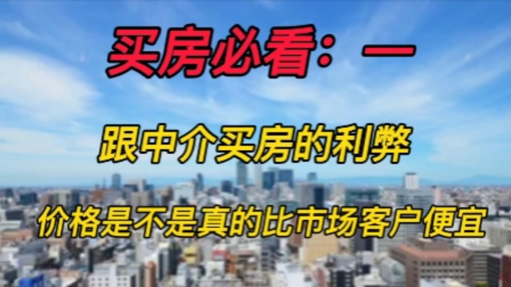 买房干货:一,跟中介买房的利弊,价格是不是真的比市场客户便宜哔哩哔哩bilibili