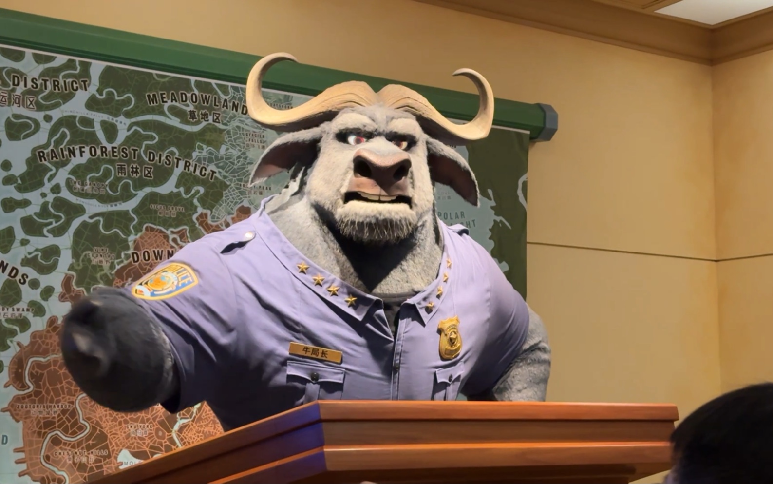 【上海迪士尼】超近距离观察牛局长!