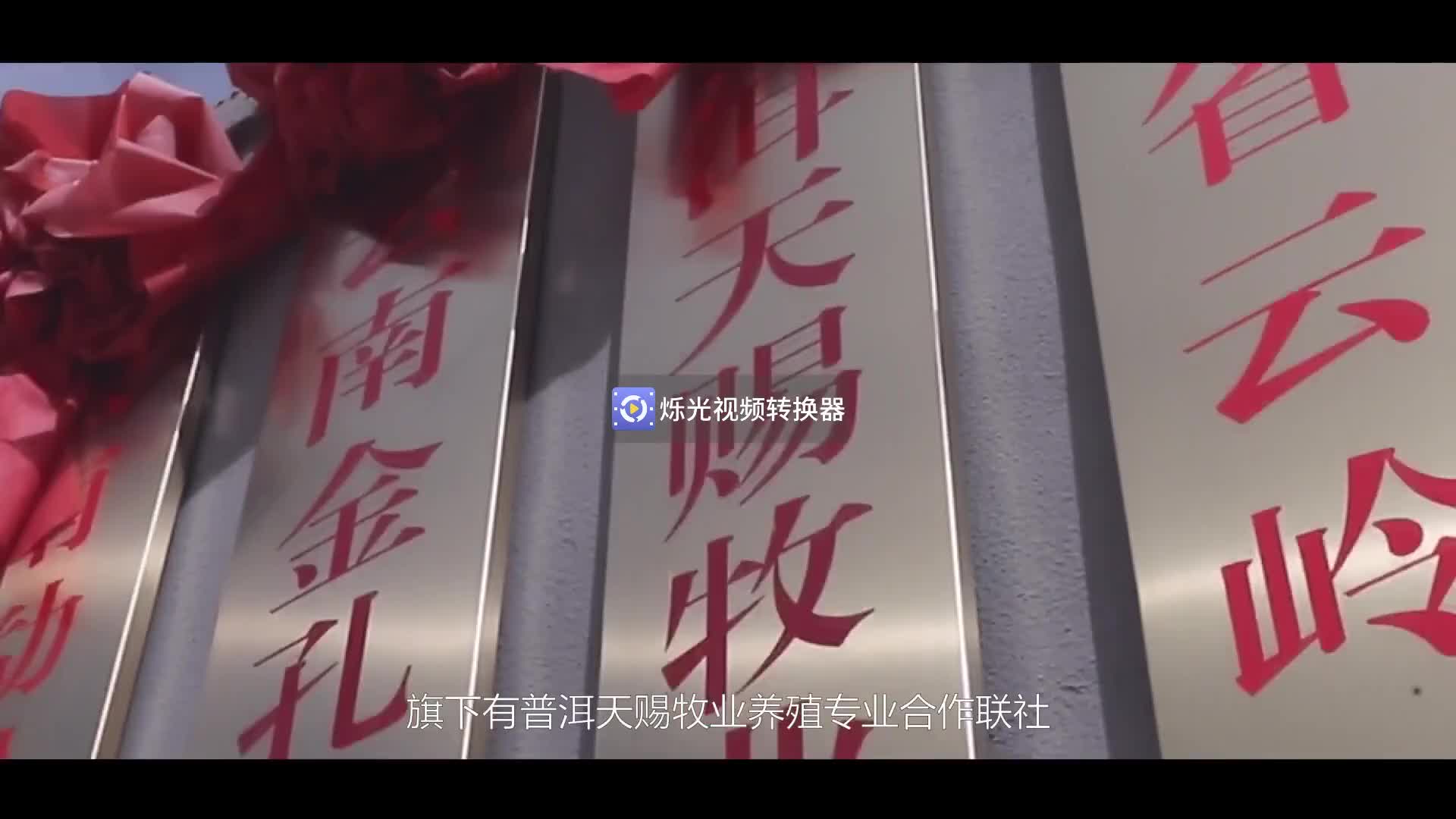 云岭牛3哔哩哔哩bilibili