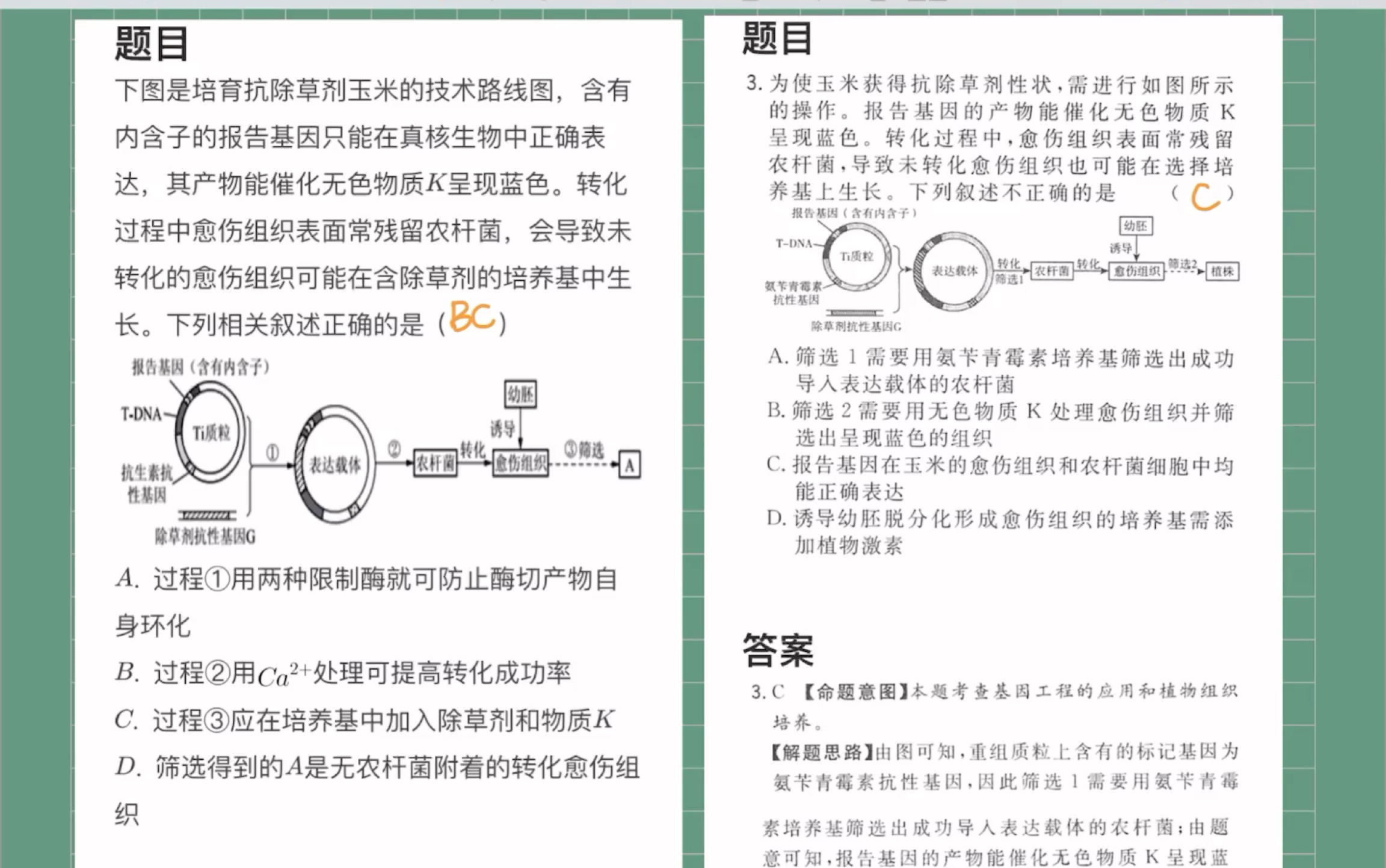 利用报告基因筛选重组质粒哔哩哔哩bilibili