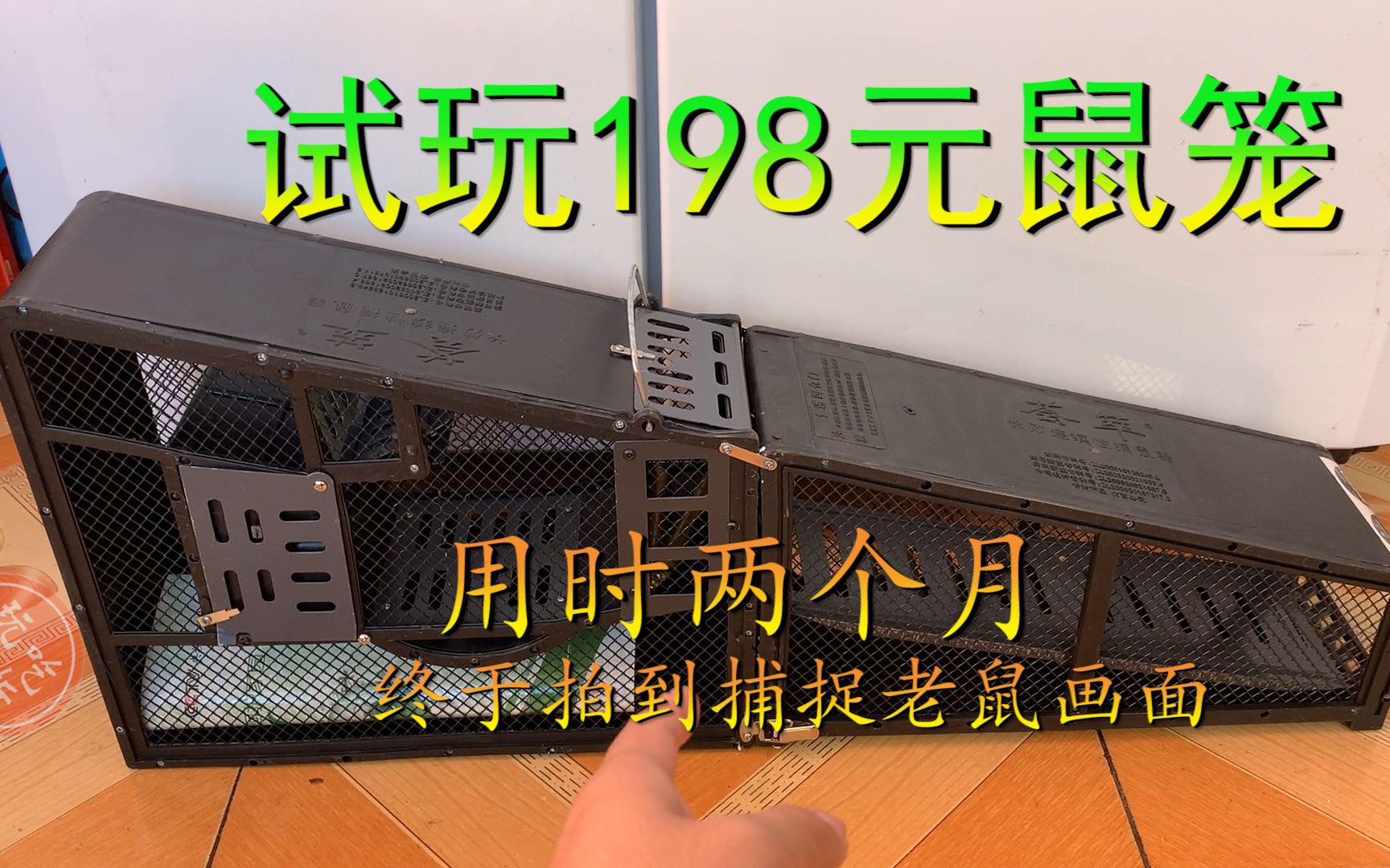 老鼠吃鸡还上房 小伙怒花198元买连续捕鼠笼 用时俩月捉三只大鼠哔哩哔哩bilibili