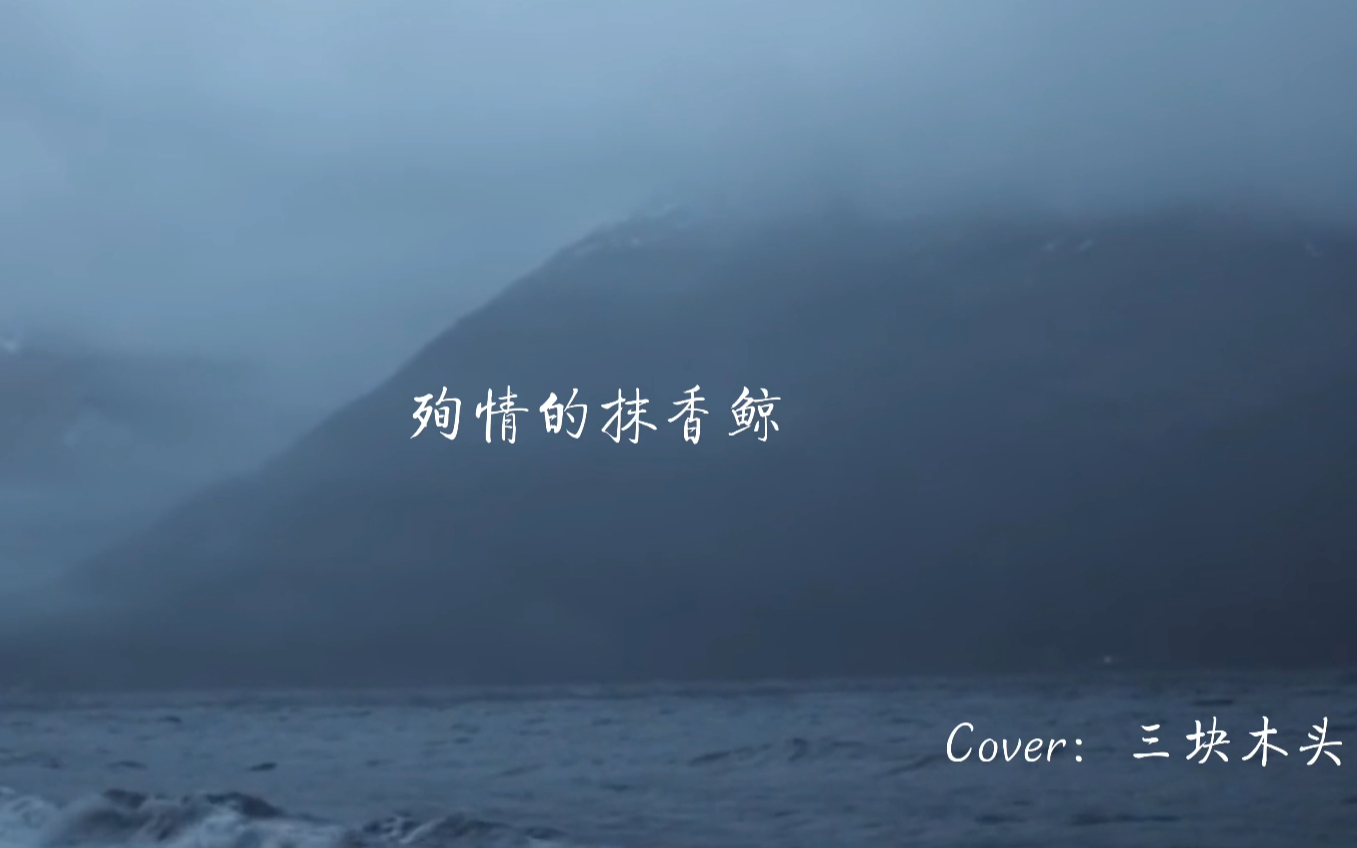 【单小曲】殉情的抹香鲸cover:三块木头 — 所念皆星河