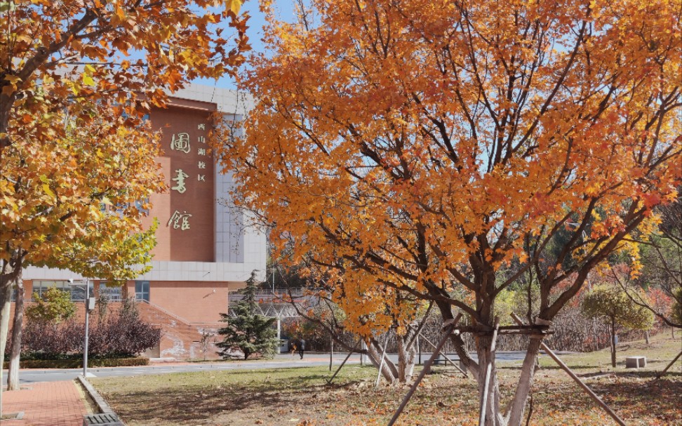 校园辽师大的四季ω