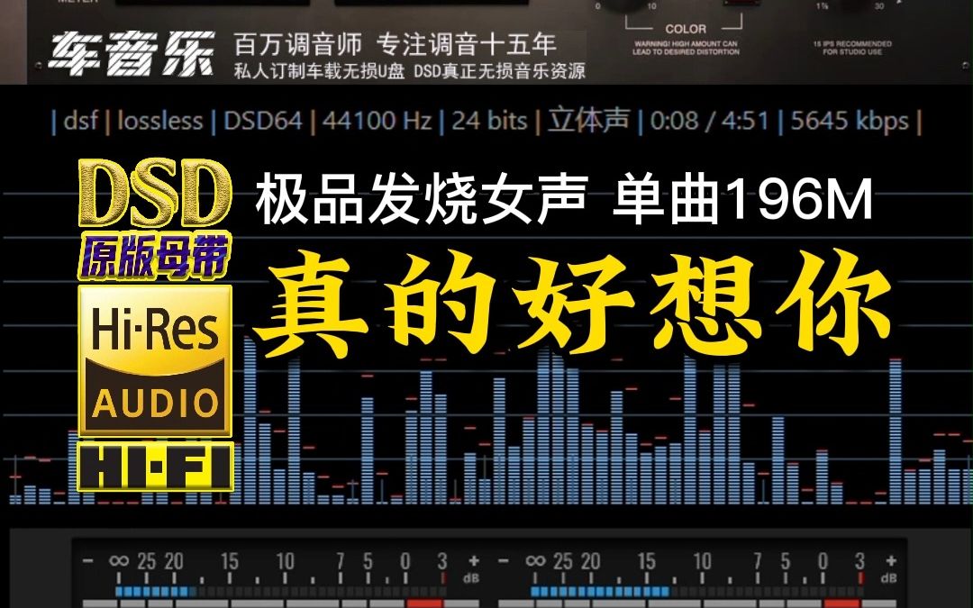 [图]极品发烧女声《真的好想你》真正DSD完整版，单曲196M【10万首精选真正DSD无损HIFI音乐，百万调音师制作】