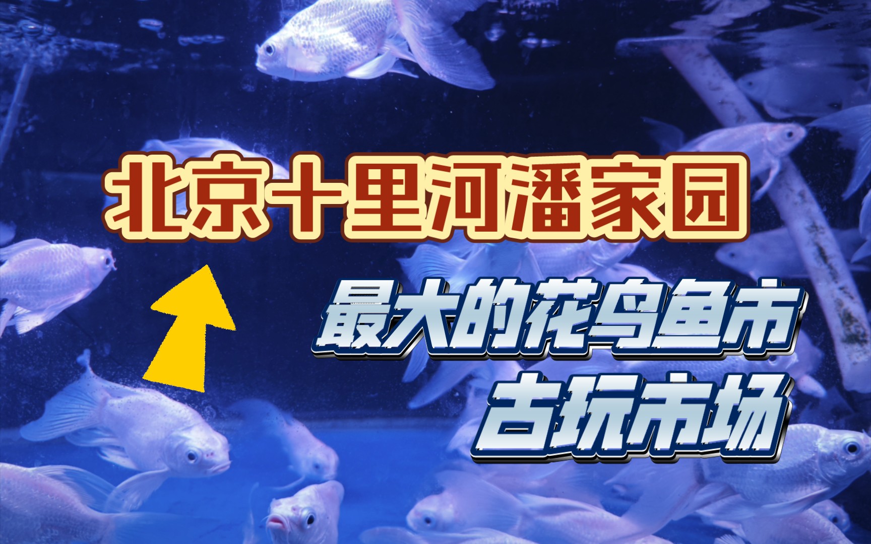 十里河古玩市园地
址（十里河古玩城几点关门）《十里河古玩市场营业时间》