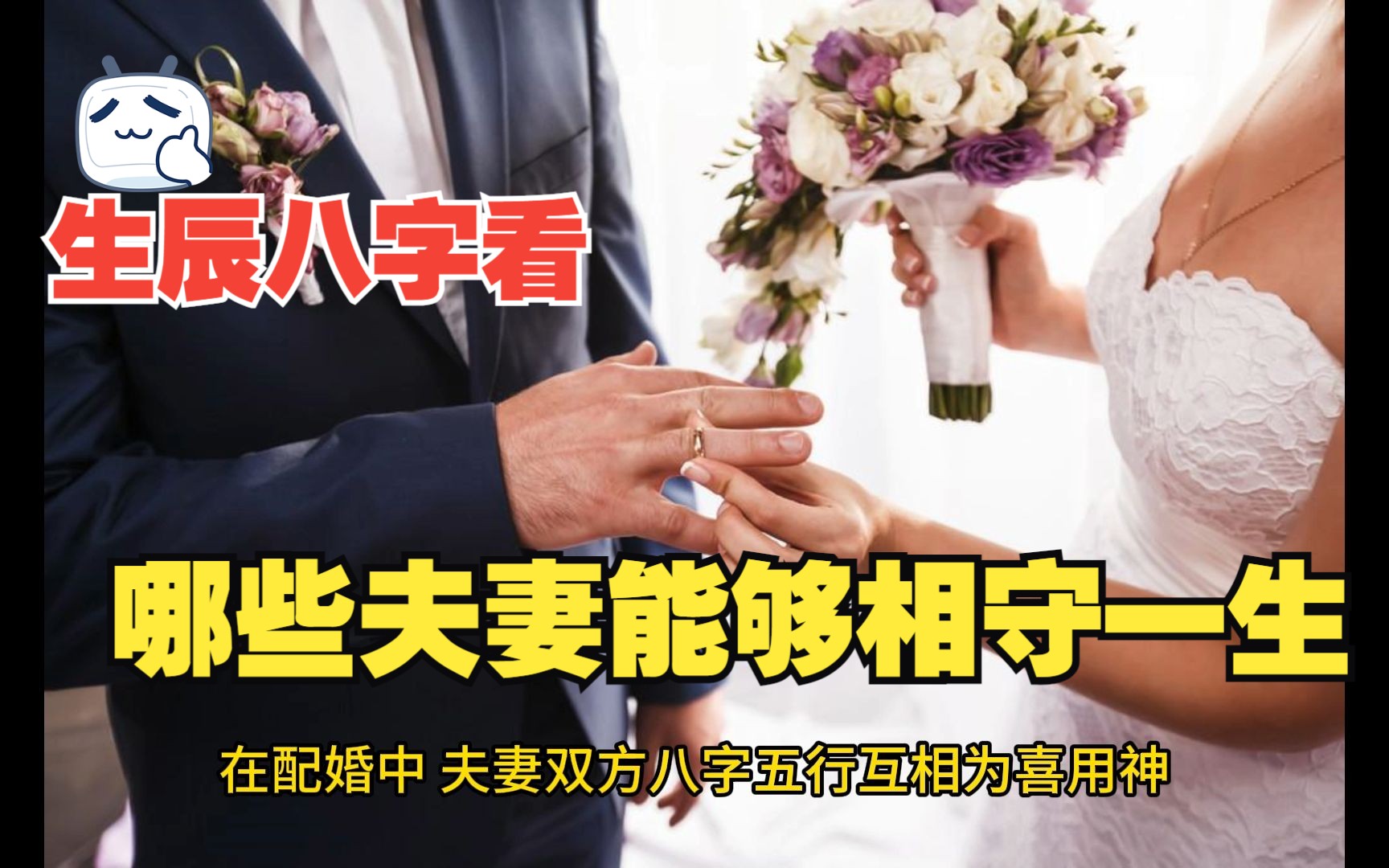 八字看哪些夫妻能够相守一生哔哩哔哩bilibili