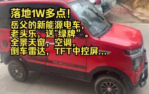 Descargar video: 岳父的不到2W新能源电车，老头乐，送