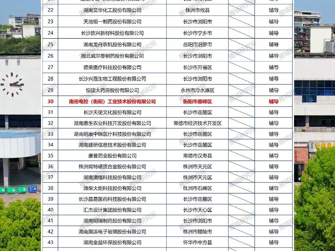 大家觉得衡阳企业上市情况如何呢 #上市企业哔哩哔哩bilibili