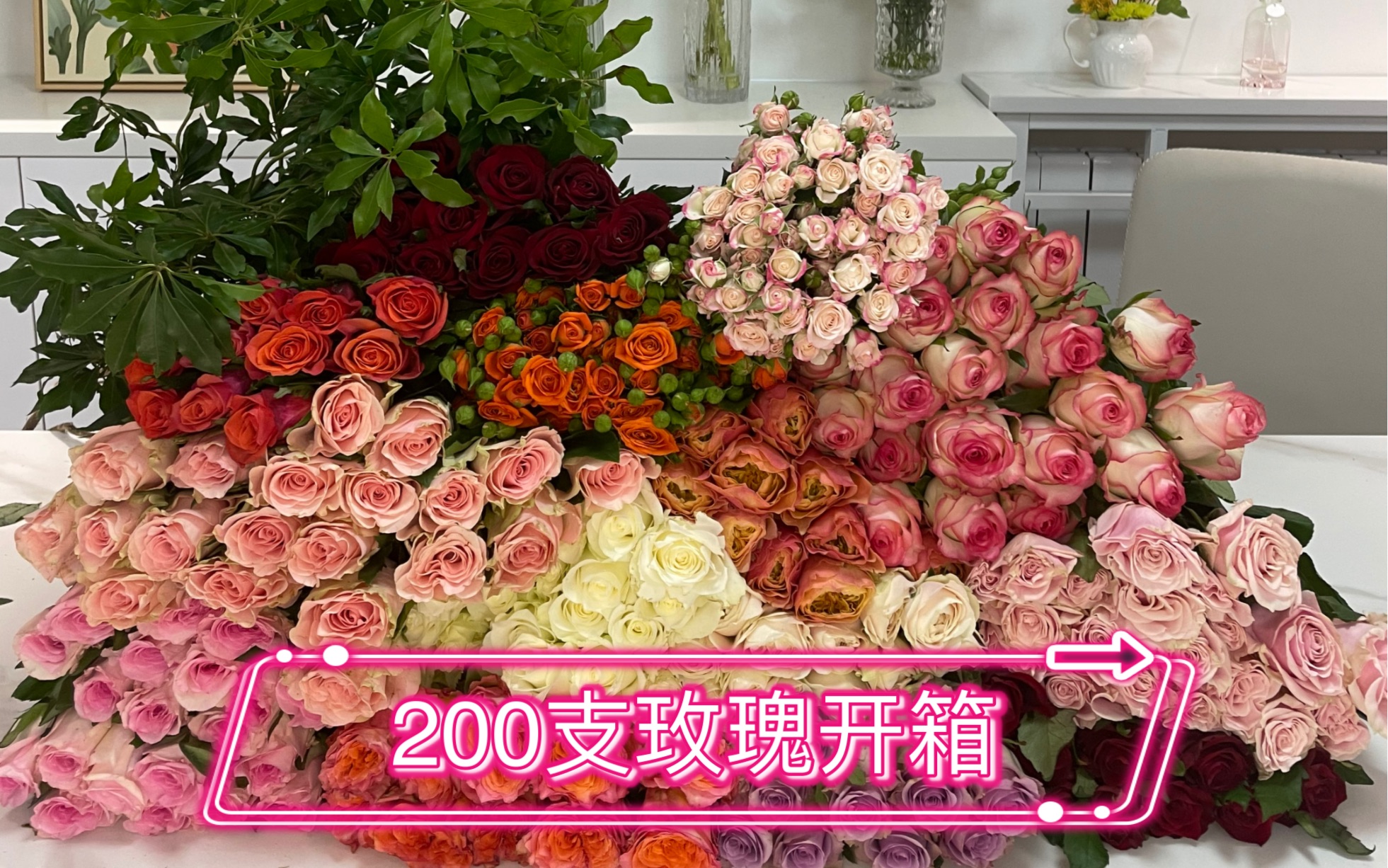 [图]30斤200支玫瑰开箱-专供花店品质