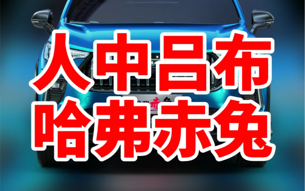 哈弗赤兔 又一款一“名”惊人的SUV 你能接受吗?哔哩哔哩bilibili