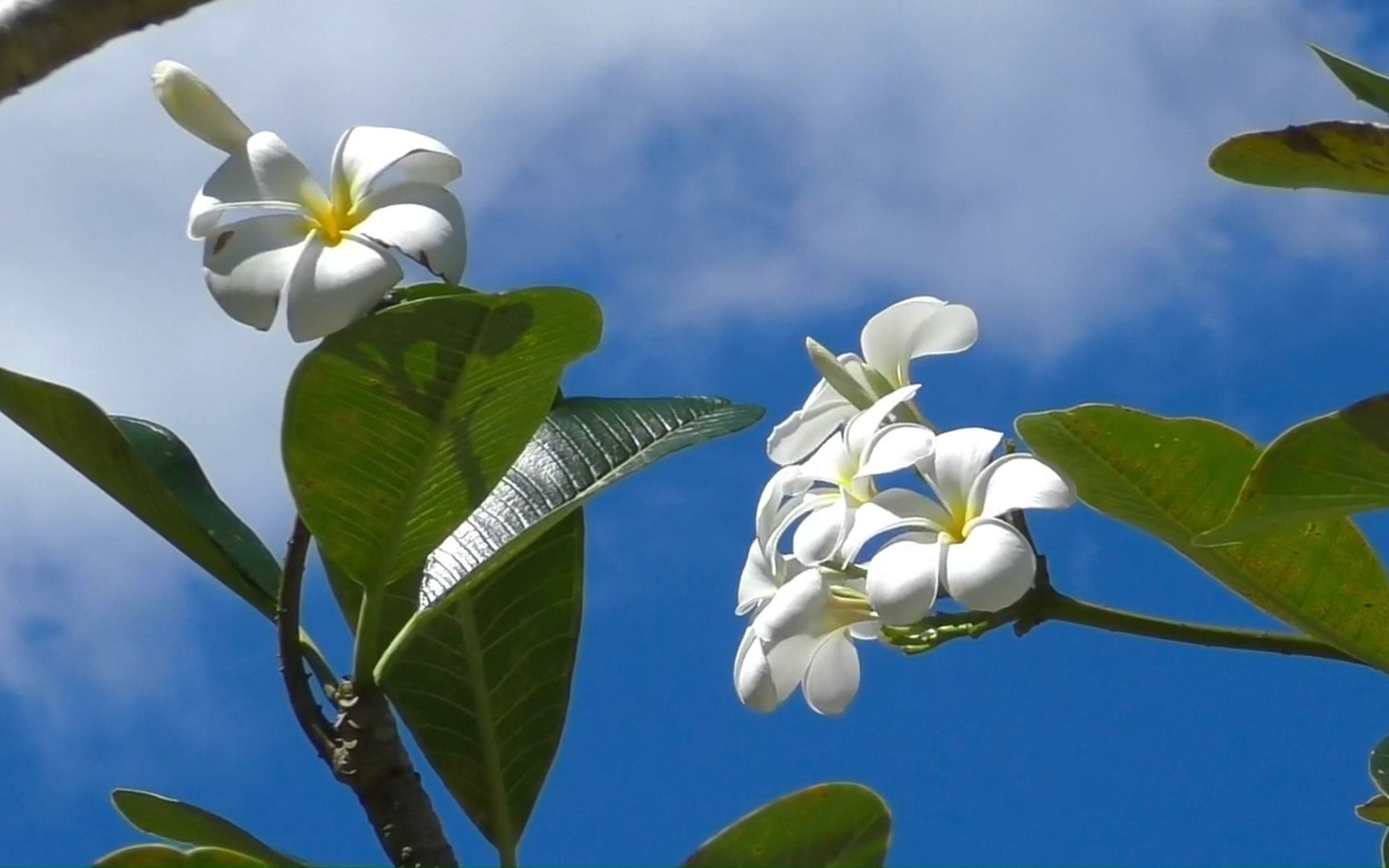 [图]【春至花开】春暖花开奔你而来，所有美好与你不期而遇