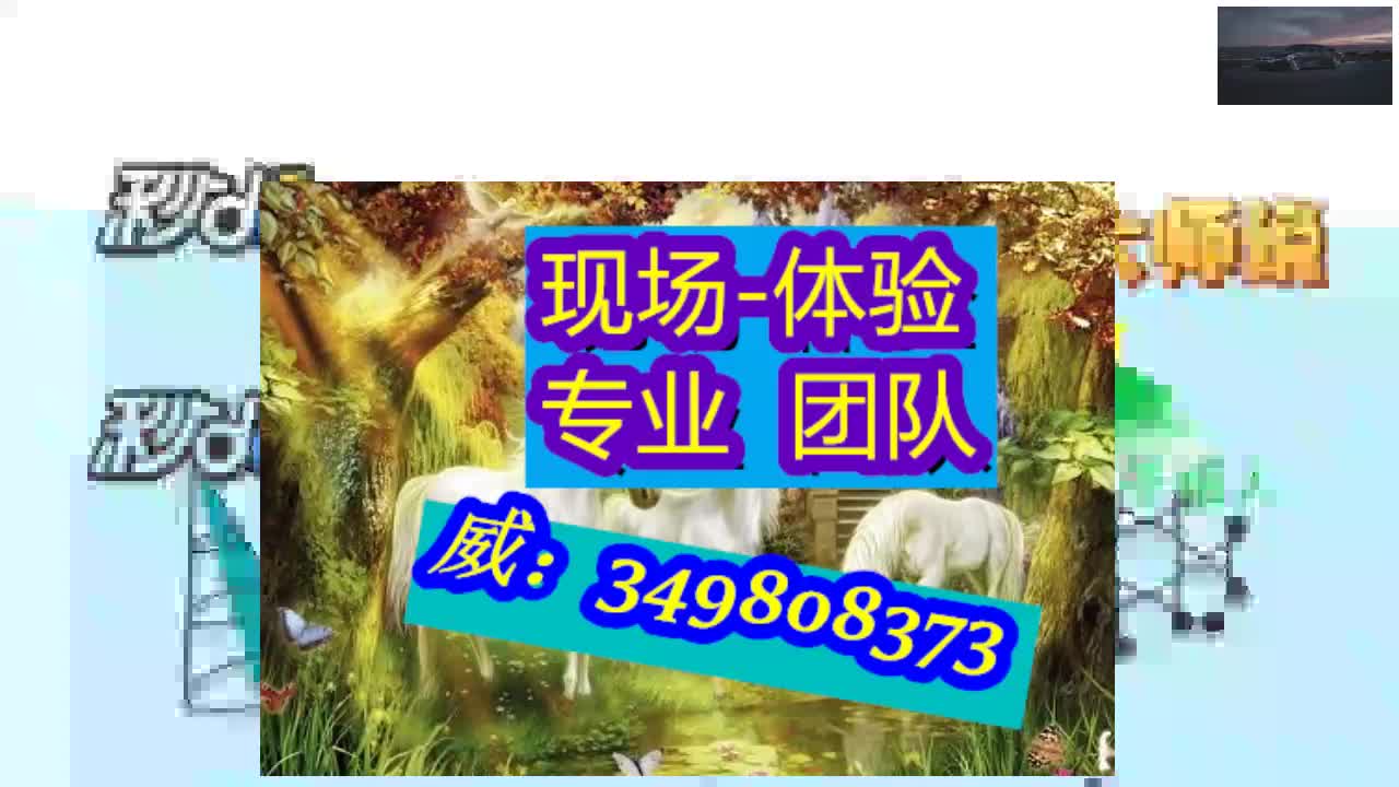 广西番摊玉米分析仪