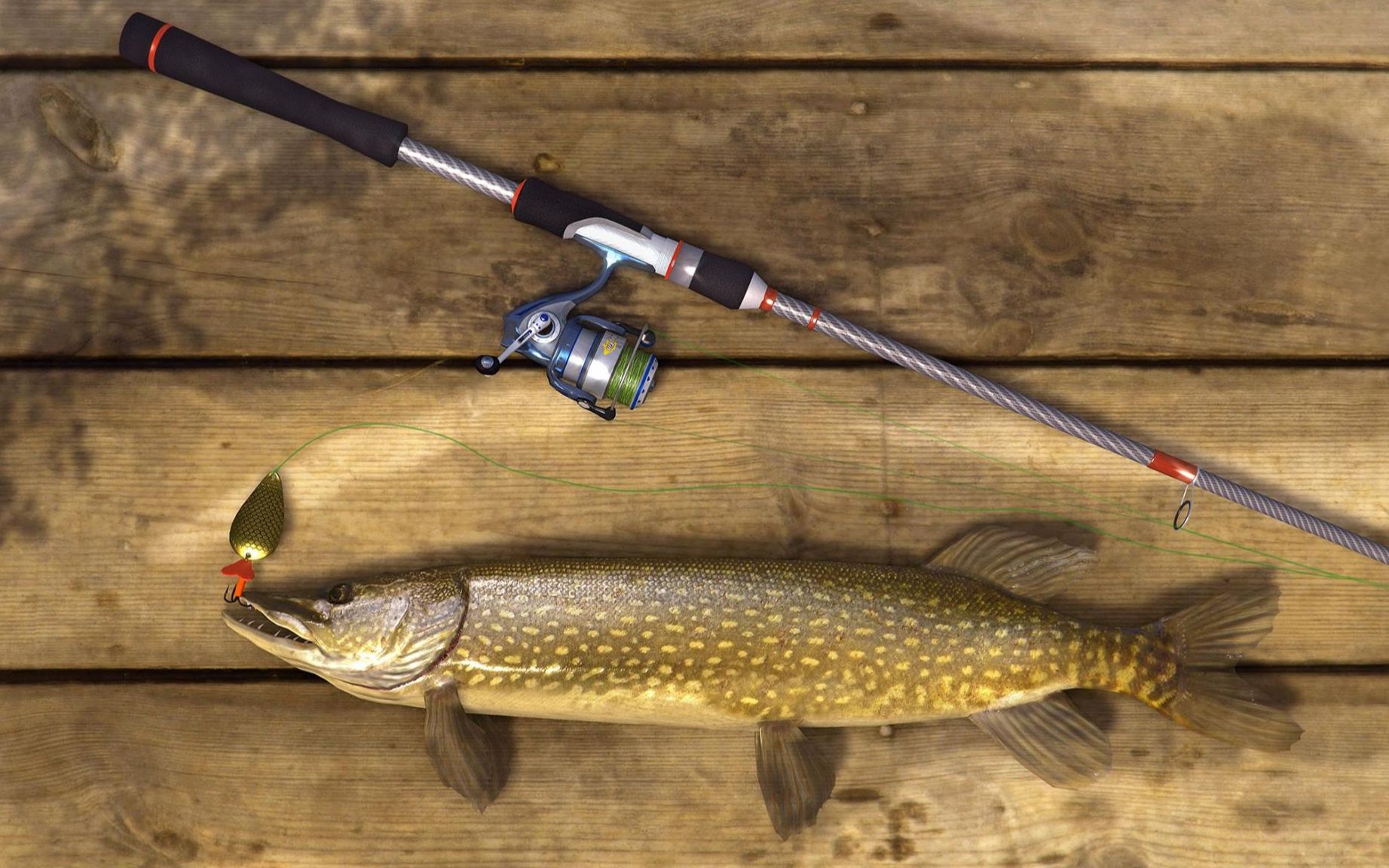 钓鱼星球fishingplanet纽约狗鱼比赛