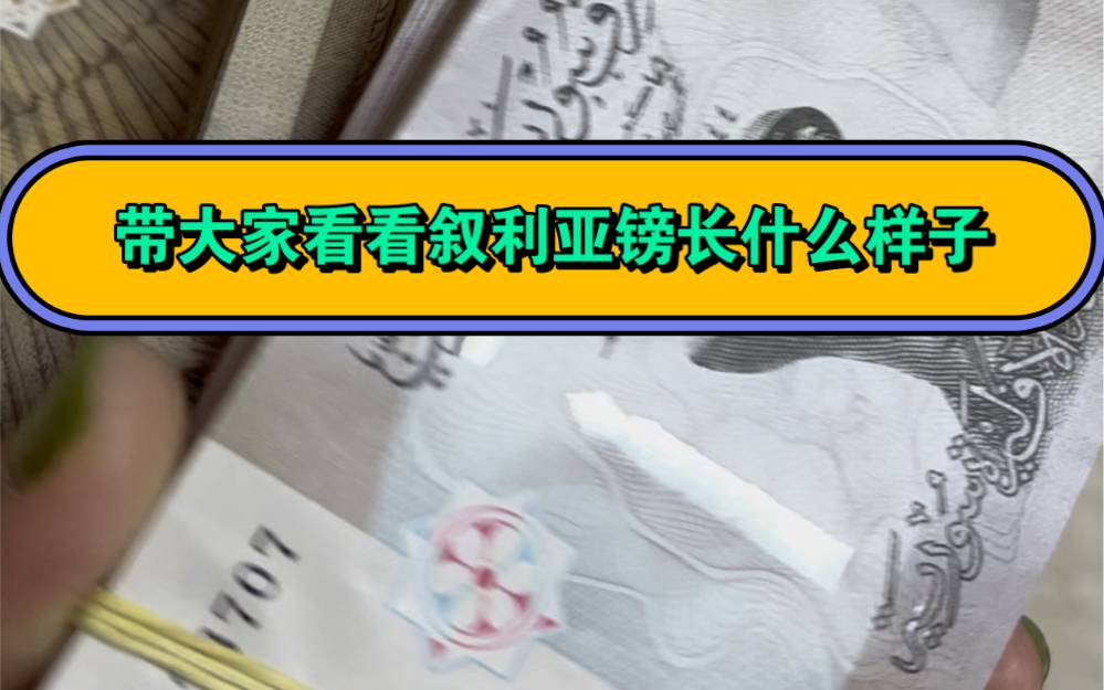 叙利亚镑,最大面值5000,在叙利亚的日子,每天出门都是背着钱出门哔哩哔哩bilibili