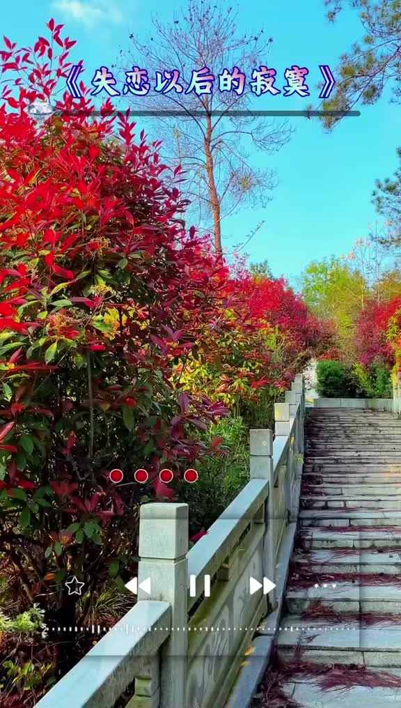 [图]音乐分享失恋以后的寂寞