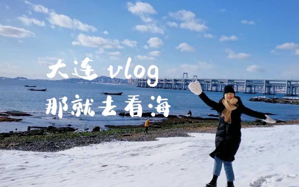 大连Vlog / 银沙滩公园/ 一个人的浪漫是躺在海边雪地里哔哩哔哩bilibili