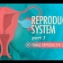 【10分钟速成课：解剖与生理】第40集 - 生殖系统 part 1 女性生殖系统