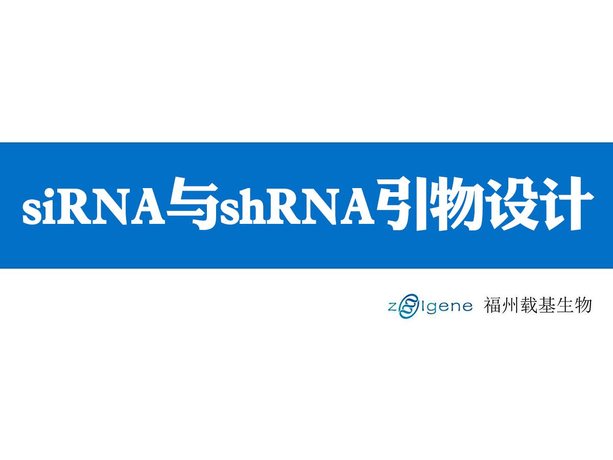 siRNA与shRNA引物设计|超详细,手把手教学|DSIR和siDirect、sigma网站哔哩哔哩bilibili