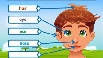 英语词汇 身体的部位 哔哩哔哩 Bilibili