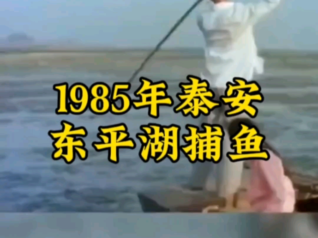 80年代东平湖渔民用鱼叉捕鱼✨哔哩哔哩bilibili