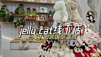 Video herunterladen: 上海jelly cat线下店 太阳宫国际蓝孩