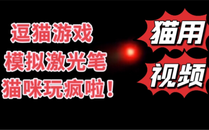 猫用视频 猫咪爱看的视频 全自动逗猫 铲屎官必备哔哩哔哩bilibili