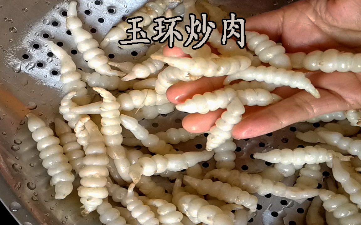 玉环炒肉你吃过吗?一种像虫子一样的蔬菜,营养价值高,美味好吃哔哩哔哩bilibili