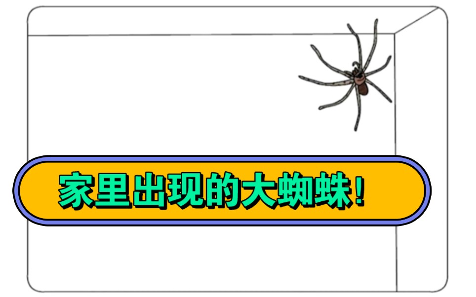 以前家里总会看见的超大的蜘蛛,它出现的原因原来是这样的啊哔哩哔哩bilibili