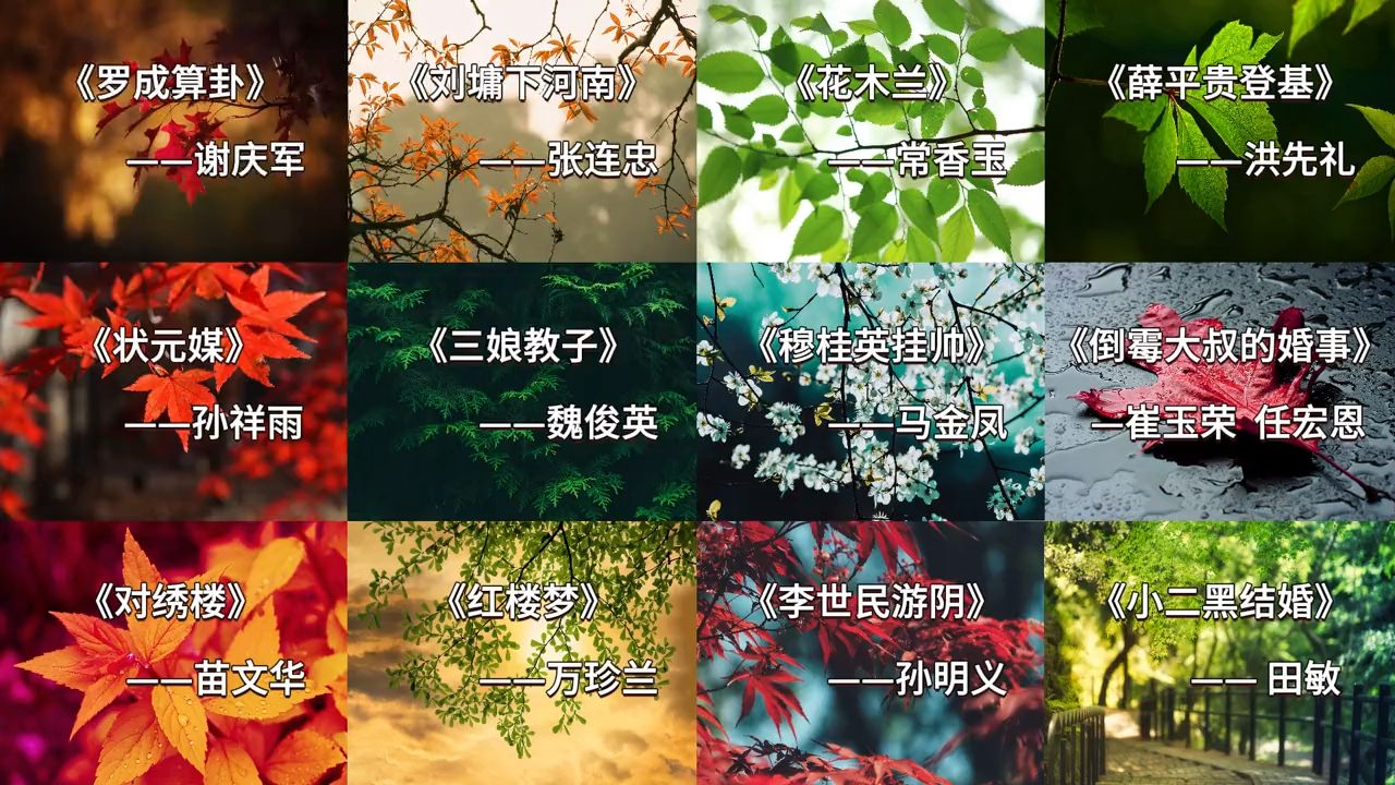 河南豫剧经典唱段合集，河南豫剧名家名段精选12段 #河南豫剧 #河南豫剧选段 #河南豫剧经典唱段 #豫剧名家