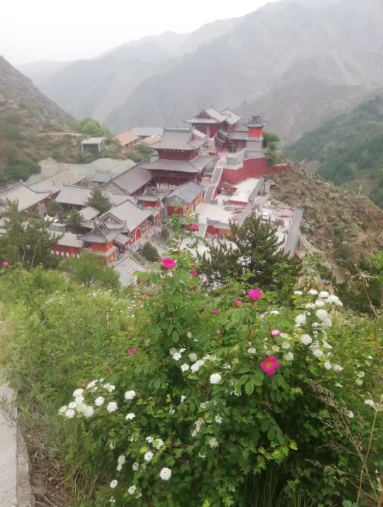 山西繁峙县兰若寺,山间记实,优雅僻静,花开富贵哔哩哔哩bilibili