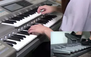 花野 哔哩哔哩 Bilibili