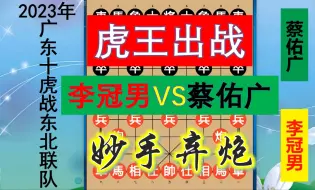 Download Video: 广东十虎蔡佑广开局贪功中计？李大师再施弃子大法，神奇弃炮妙也