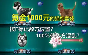 Video herunterladen: 在4399氪金1000元的猫狗套装！玩竞技到底有多离谱？