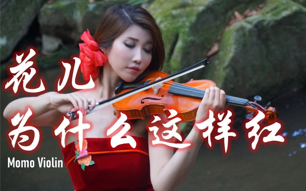 [图]【小提琴】花儿为什么这样红 Why are the flowers so red