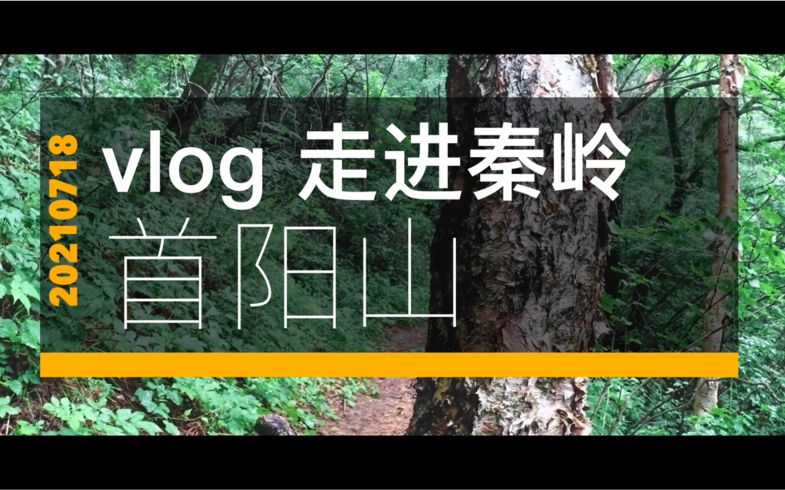 [图]vlog 走进秦岭之首阳山