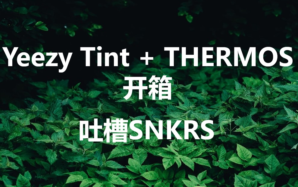 Yeezy&Thermos开箱,顺带吐槽SNKRS哔哩哔哩bilibili