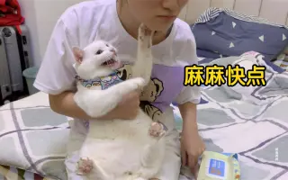 我家的猫猫是可爱的女孩子 搜索结果 哔哩哔哩 Bilibili