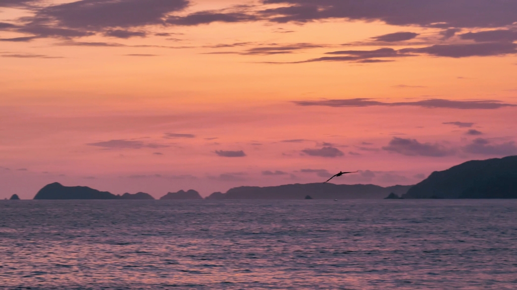 "这么美的晚霞,你会分享给你想的那个她吗"