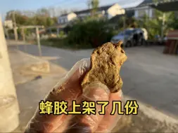 Video herunterladen: 这两天一直被小伙伴问蜂胶，有这个需求的可以先看看视频，这个蜂胶适合泡高度久，里面会有一点杂质，杂质是一点蜂蜡，木屑和蜜蜂的肢体。