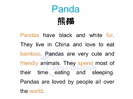 英语美文 英语朗读 小学英语阅读 每日英语听读 Panda 熊猫 英语短文 英语口语哔哩哔哩bilibili