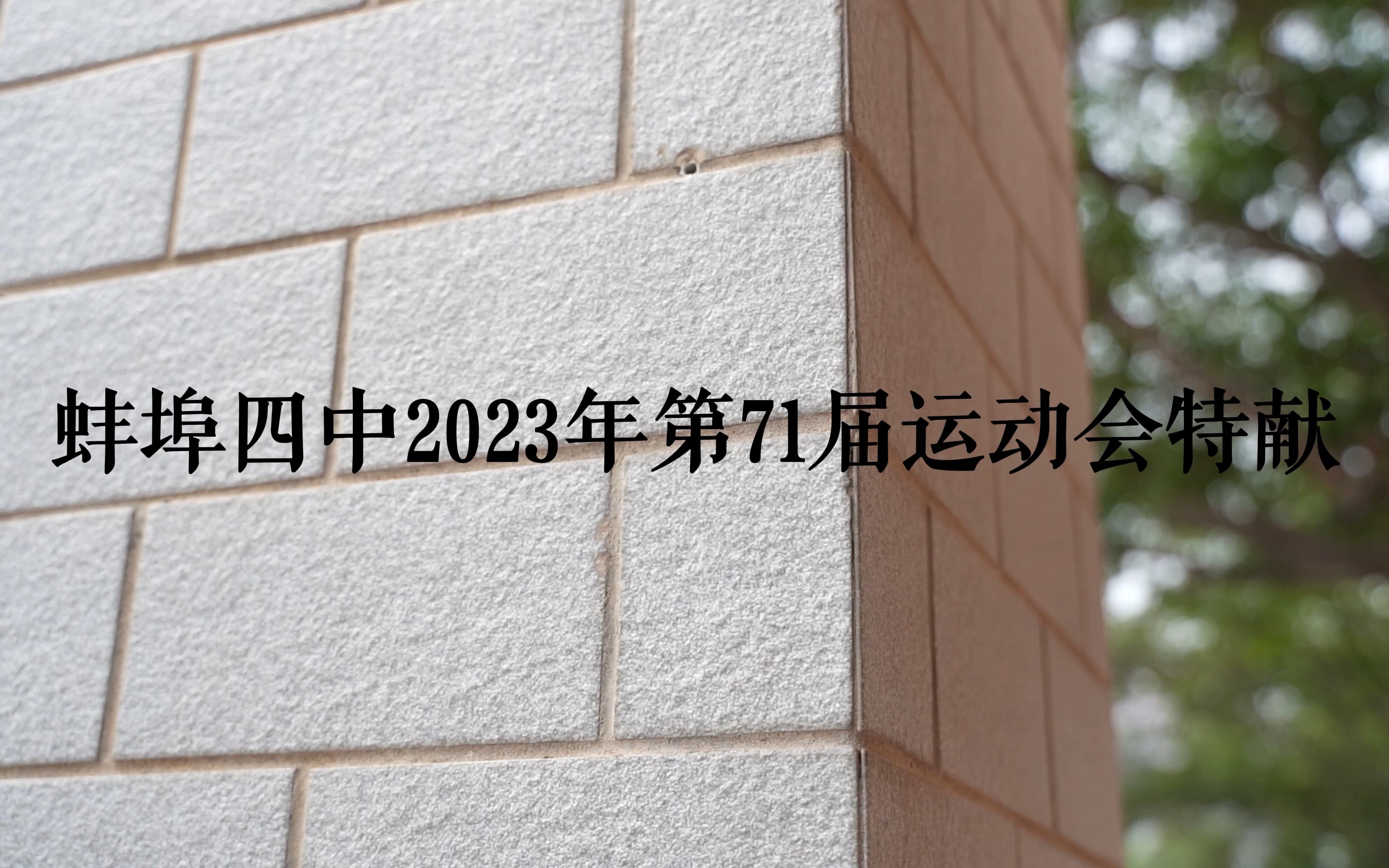 2023年蚌埠四中71届秋季运动会混剪哔哩哔哩bilibili