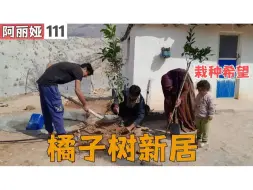 Download Video: 栽种希望 橘子树新居